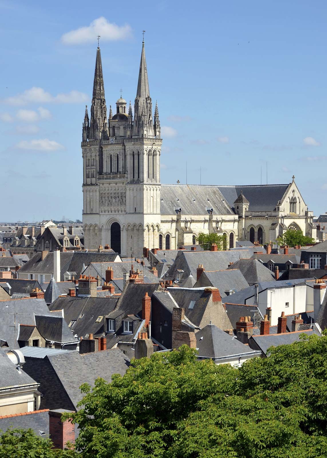 Property Angers